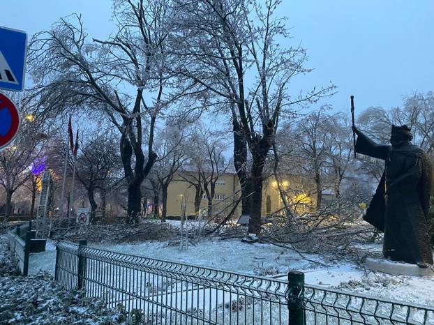 FOTO Smrznuti Knin: Pucaju stabla i grane, putnici satima zaglavljeni u vlaku...