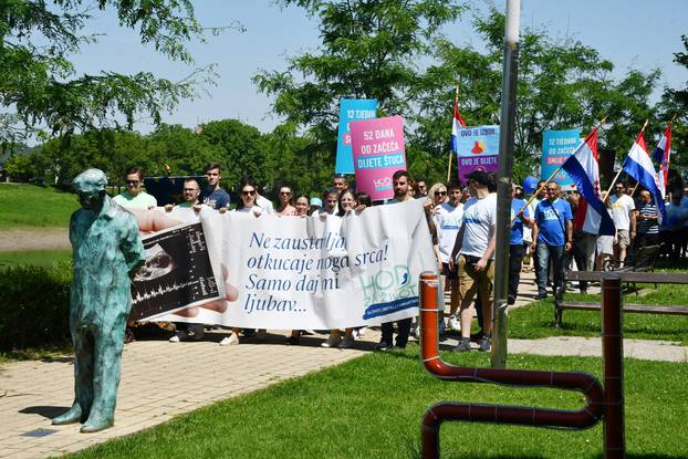 Aktivisti Hoda za slobodu i Hoda za život prodefilirali Siskom