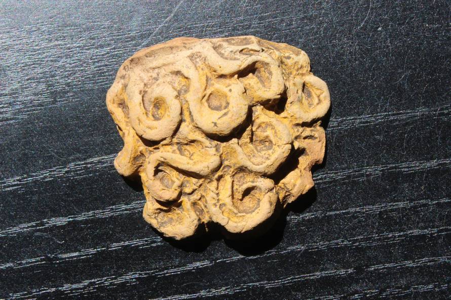 FOTO U špilji na Pelješcu otkrili ilirsko svetište, pogledajte fotke