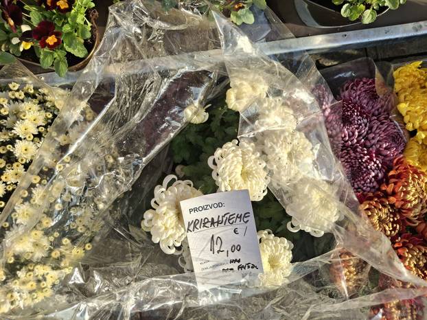 Ponuda cvijeća i cvjetnih aranžmana na zagrebačkom Dolcu