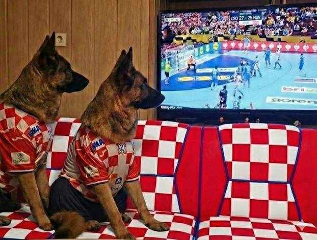 FOTO Čak su i njemački ovčari za nas! Ovako se hrvatski navijači nabrijavaju za polufinale Eura