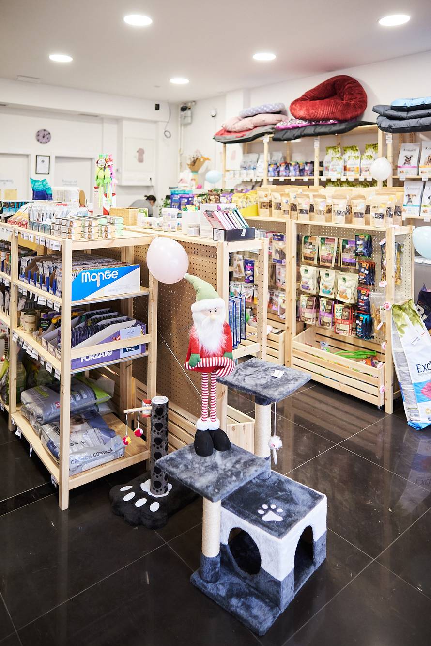 Hrabri Mačak Nudl inspirirao je  “sigurnu adresu” za pse i mačke u Zaprešiću! Evo kako