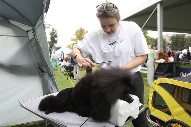 Karlovac: Me?unarodna izložba pasa
