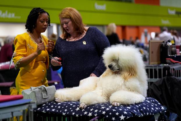 Crufts Dog Show 2025 - Day Two