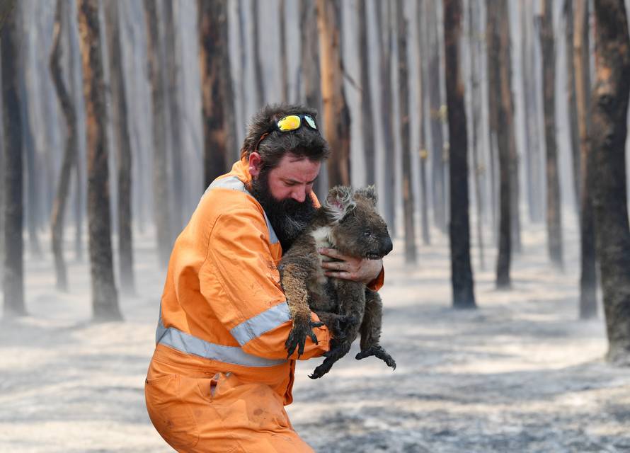 Prizori nakon požara iz Australije