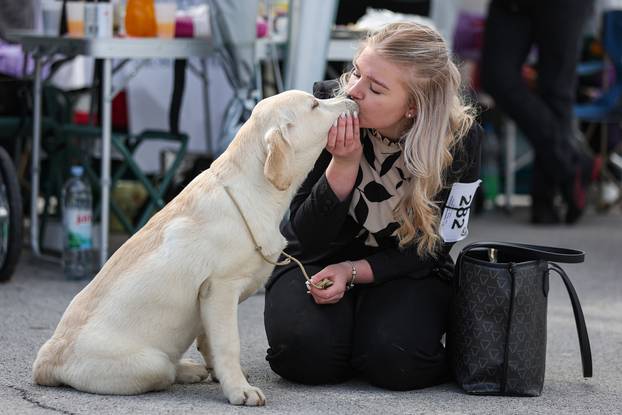 Zaprešić: Ispred Wesgatea održana međunarodna izložba pasa