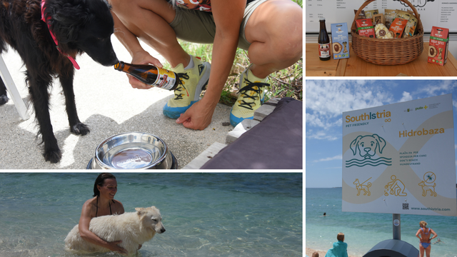 Pseći raj na moru: Psi piju pivo u vlastitom baru na plaži. 'I ja ću otvoriti sličan u Švicarskoj!'
