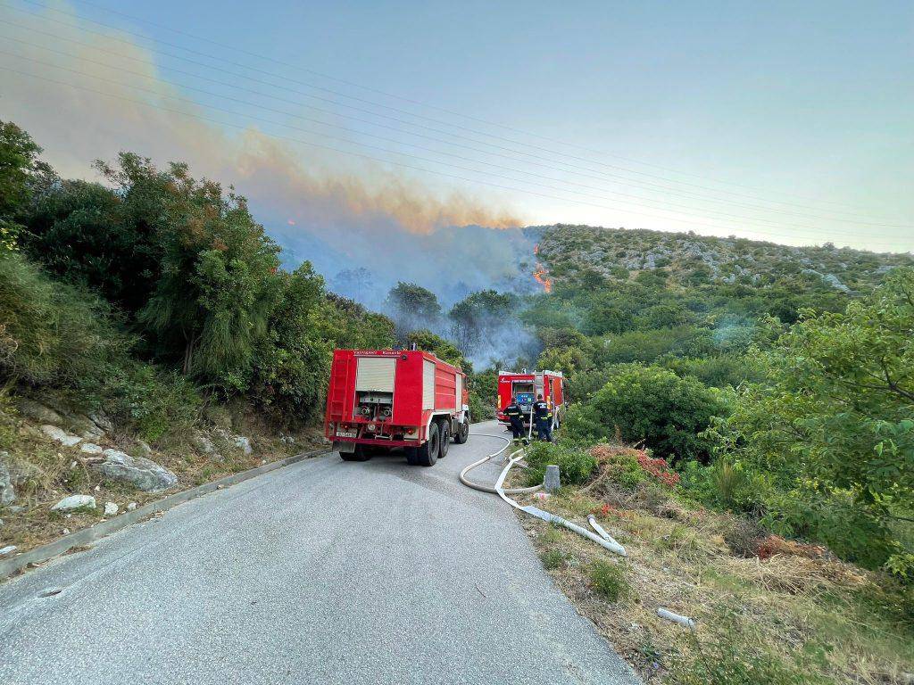 Požar kod Dubrovnika: 'Vatra je bila zaprijetila i kućama, a stižu dva kanadera. Težak je teren...'