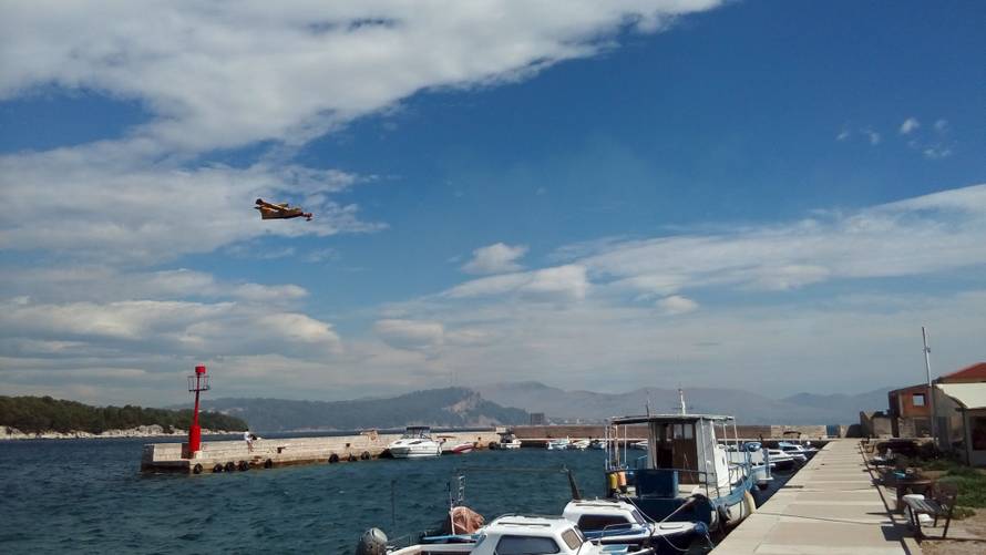 U Žaboriću gori borova šuma, vatrena stihija prijeti kućama