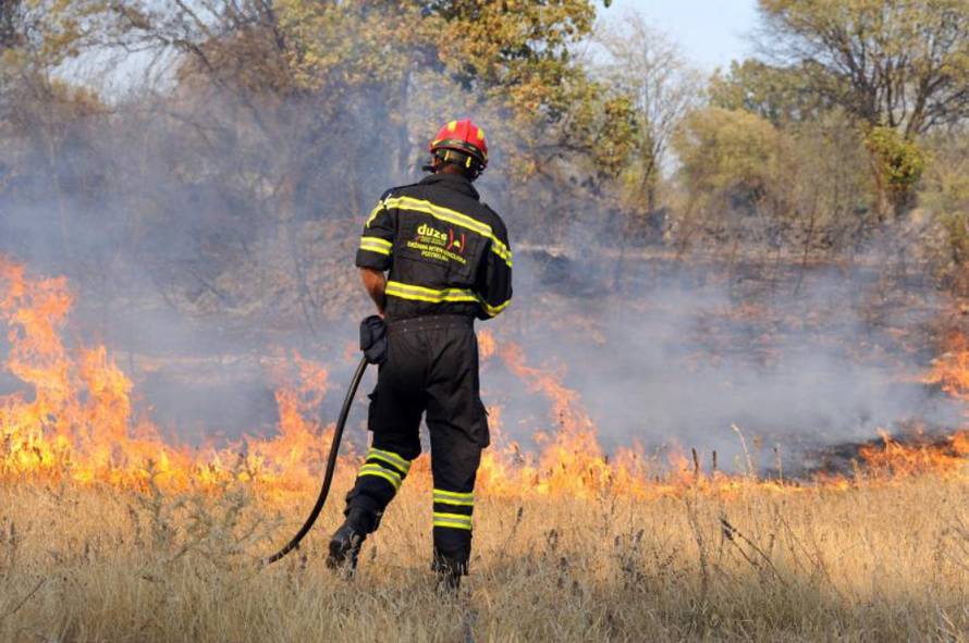 Hrvoje Jelavić/PIXSELL