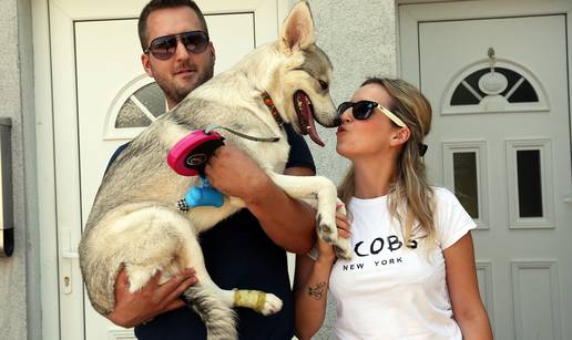 Mayu su na&scaron;li u kutiji u jarku, morali su joj amputirati nogu