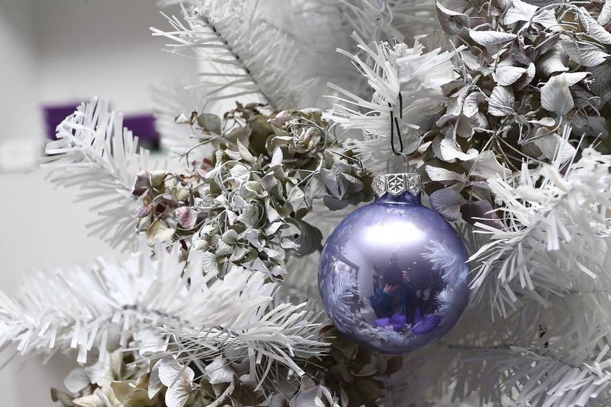 Davor Puklavec/Pixsell