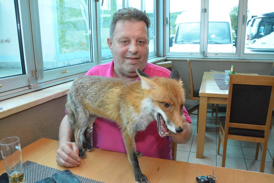 Macola  je udomio mladunče: Svaki dan kuham svom liscu