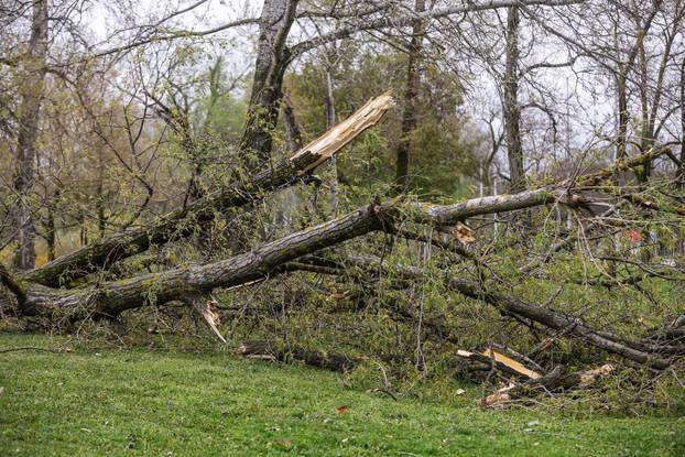 Zagreb: Olujno nevrijeme počupalo stabla na Bundeku 