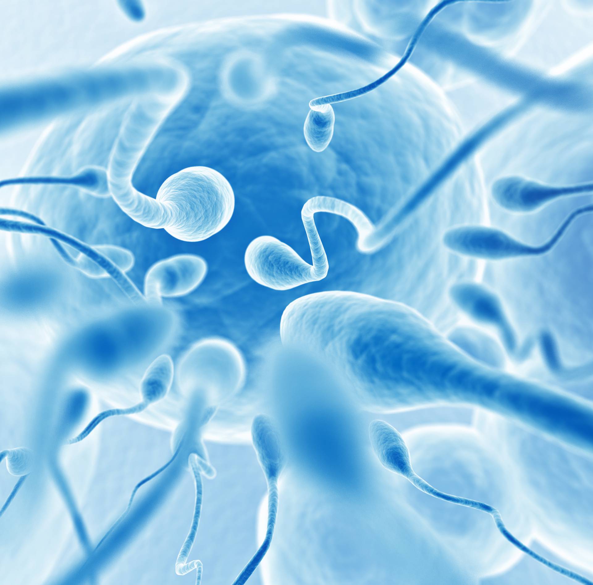 Mali broj spermija otkriva veći rizik za mnoge opasne bolesti