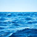 To je prirodni detoks za dušu i tijelo: Zašto su morska voda, zrak i alge tako dobri za nas?