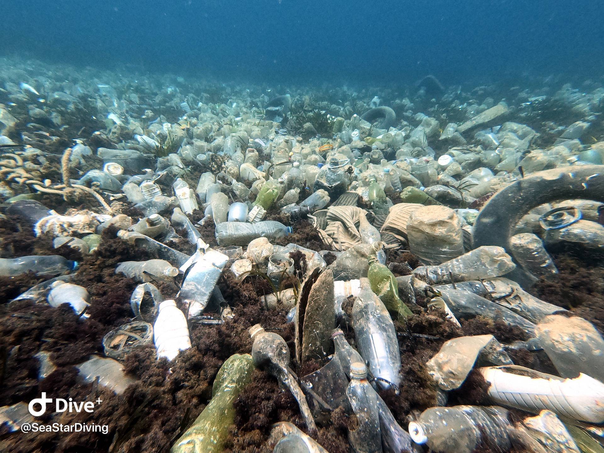 Dramatični prizori: Podmorje nam ubija plastika iz susjedstva