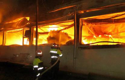 U požaru štale u Slavonskom Šamcu ugušila se dva bika 