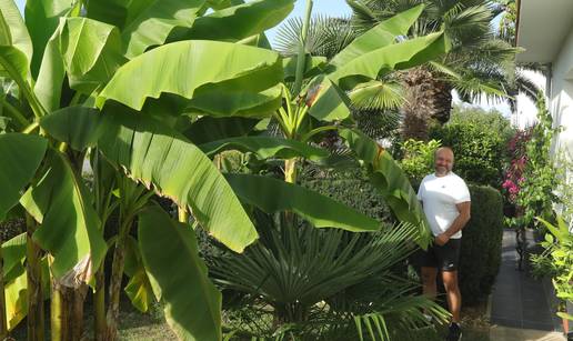 Igor u Donjem Miholjcu uzgojio divnu mediteransku džunglu!