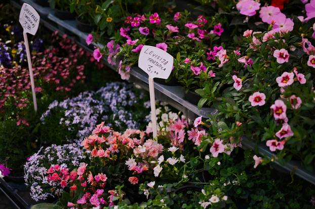 24sata Zagreb: Ponuda cvijeća na Dolcu 