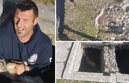 FOTO Vatrogasci izvukli janje iz groba na Bolu: 'Odnijeli smo ga majci koja je blejala u blizini...'