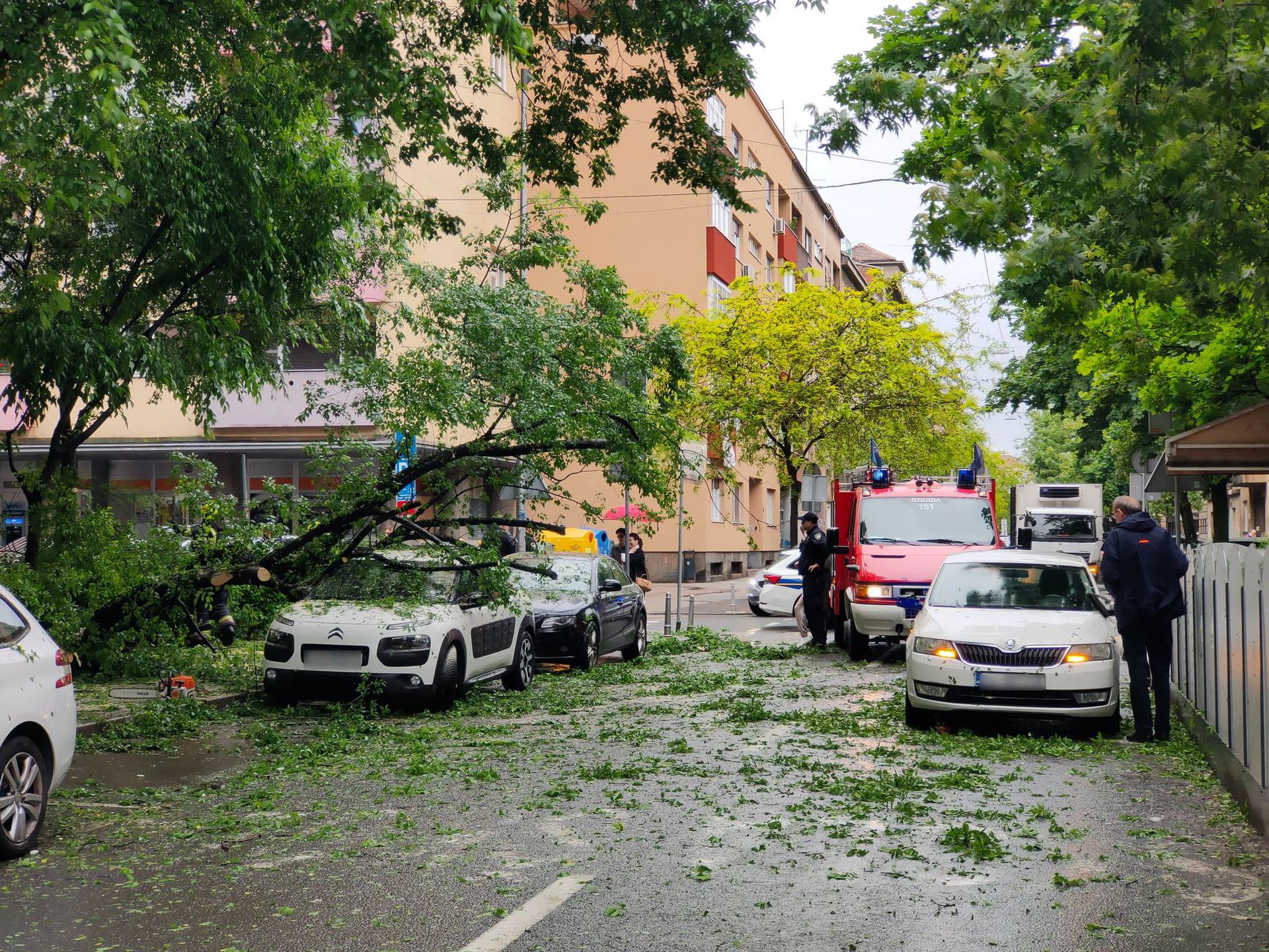 Nekoliko intervencija zbog palih drveća u Zagrebu: U Martićevoj ulici jedno je palo na automobil