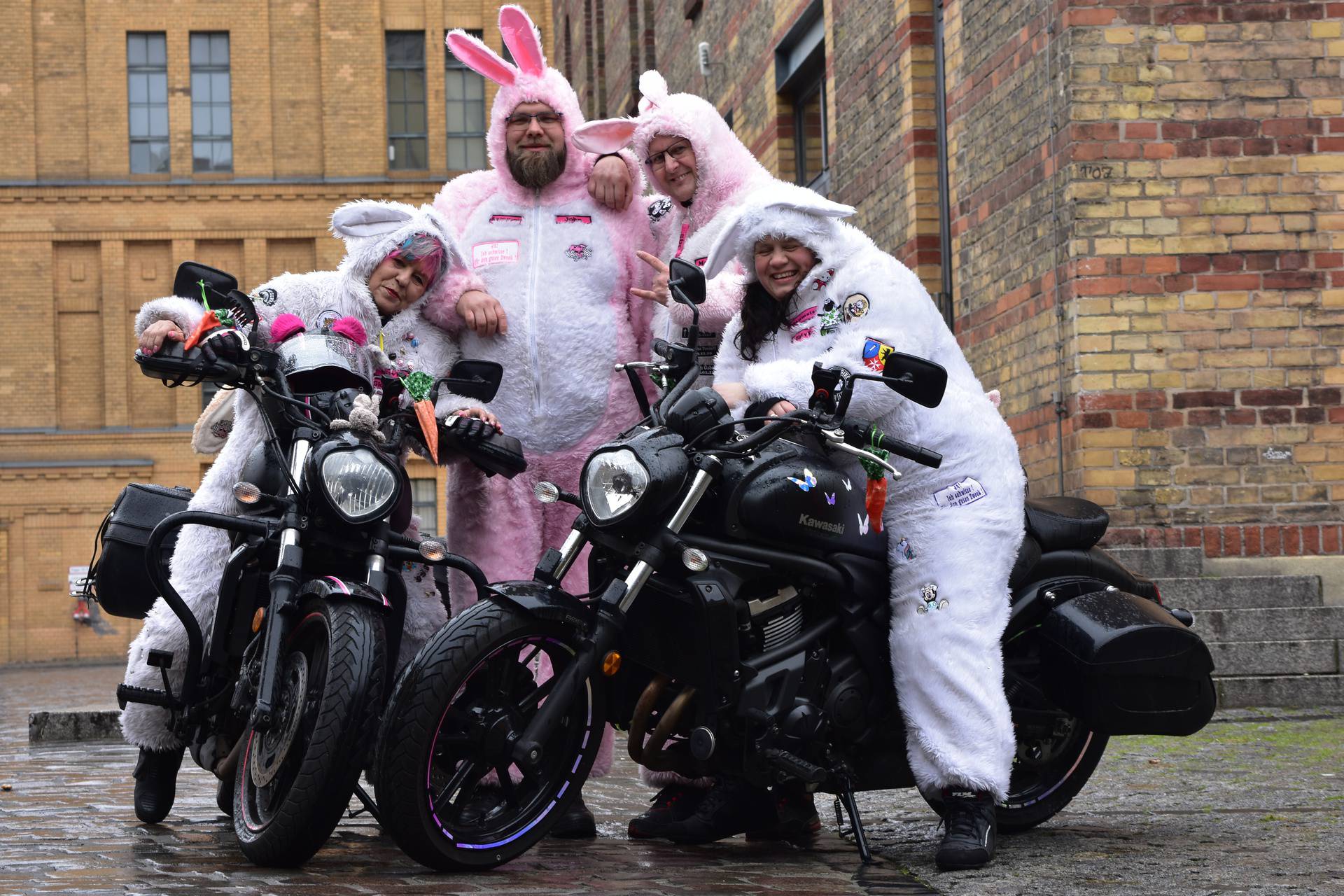 Donaldists, bikers as rabbits and other curious associations