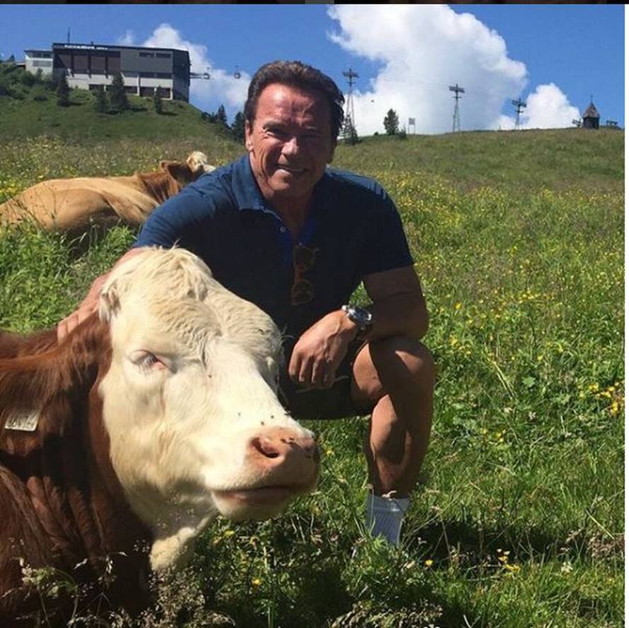 Ženu je varao s pomoćnicom, a obje istovremeno bile trudne...