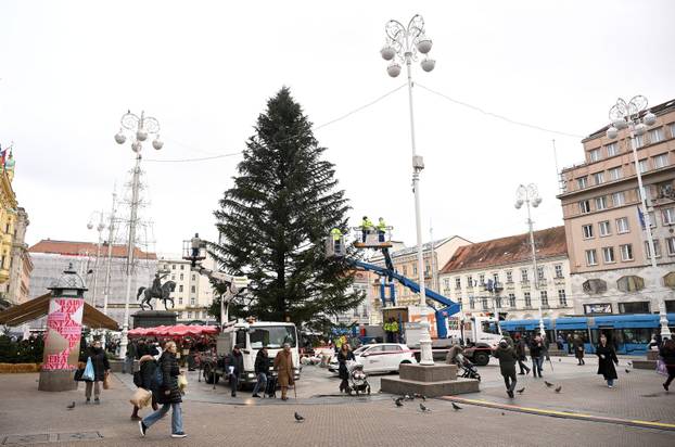 Zagreb: Ukrasavanje glavnog bora u gradu