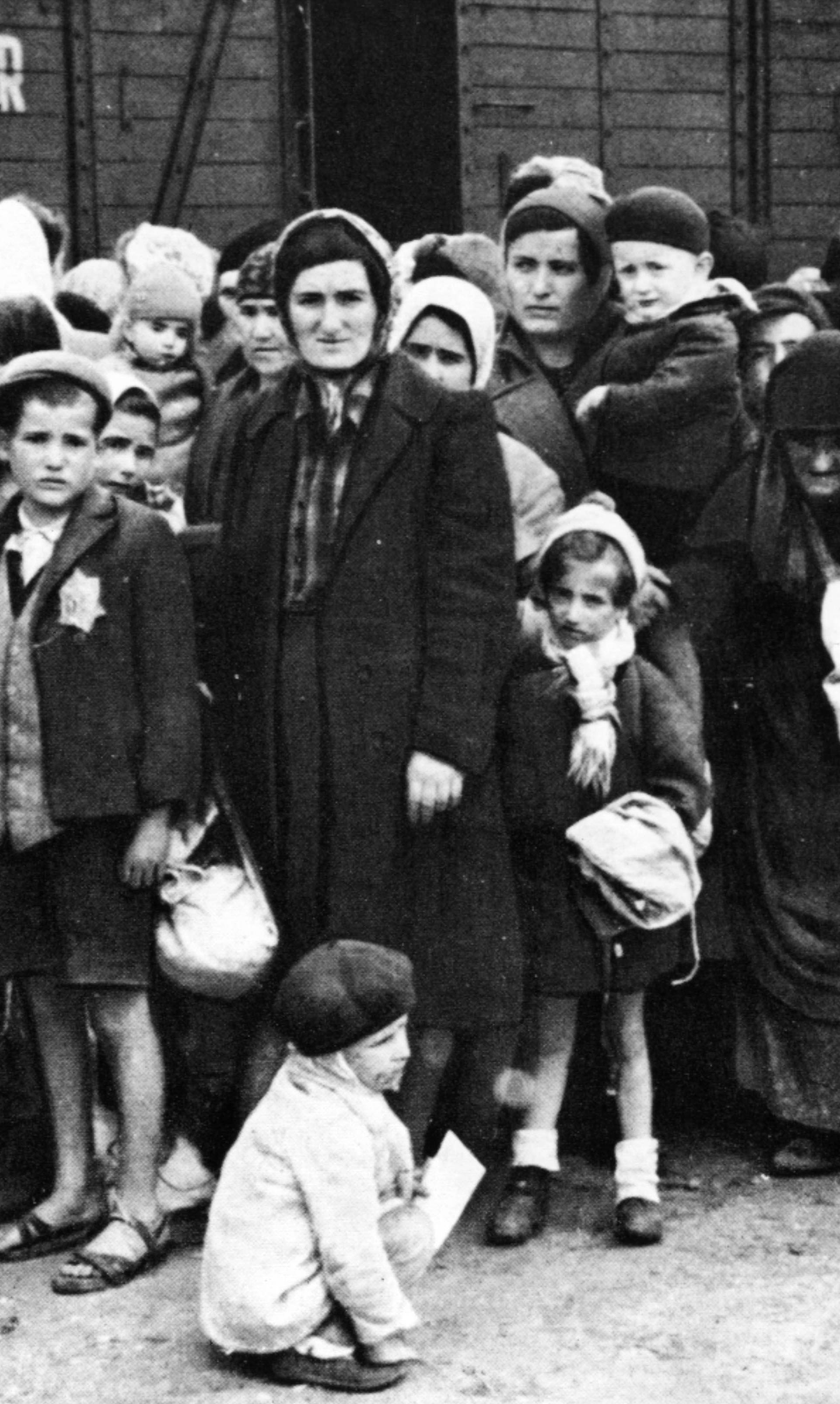 Ungarische Juden auf Rampe / Auschwitz1944