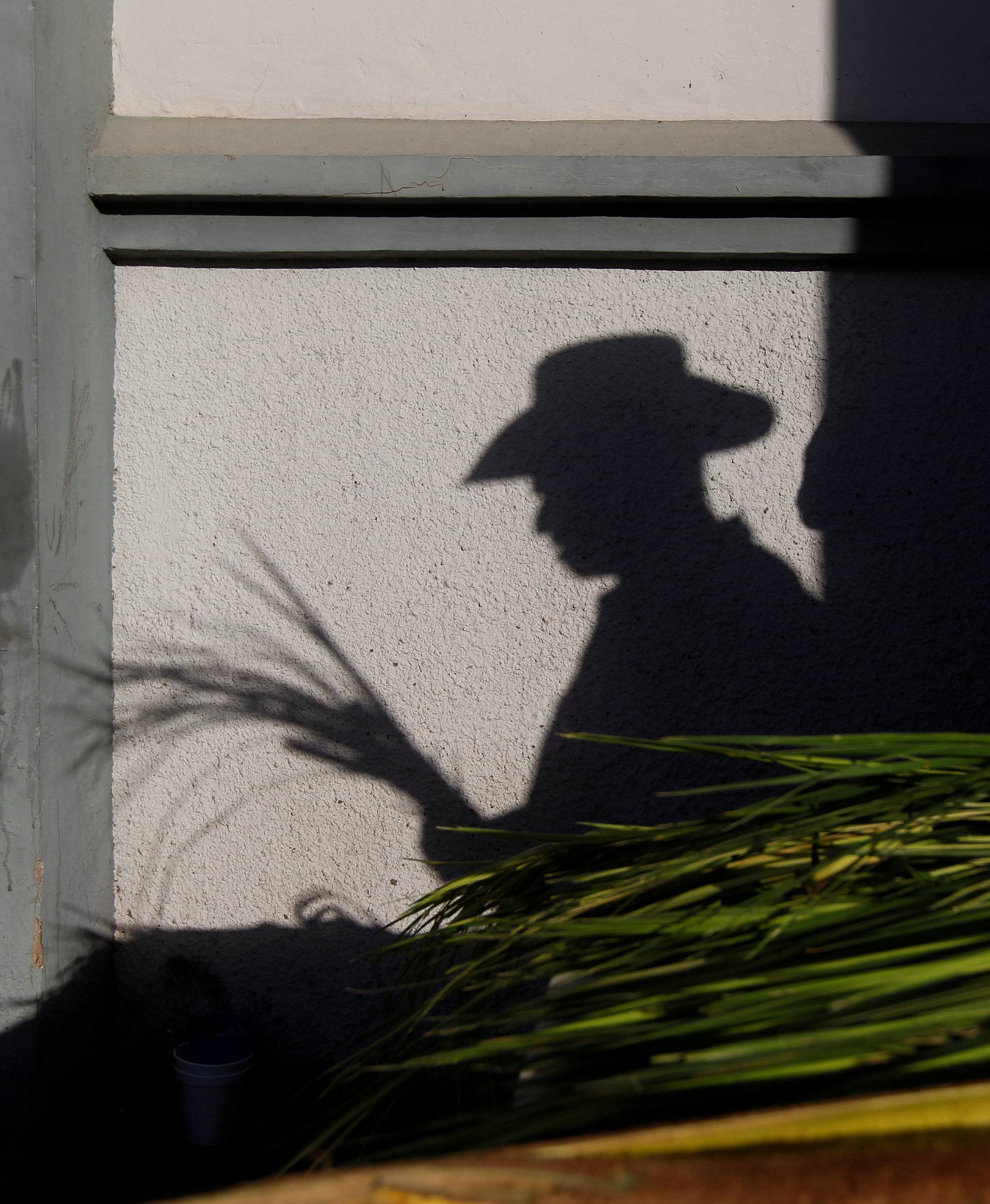 Man casts his shadow while holding palm branches during celebrations for what Hondurans believe to be the 270th anniversary of the discovery of the statue of Virgin of Suyapa, the patron saint of Honduras, in Tegucigalpa