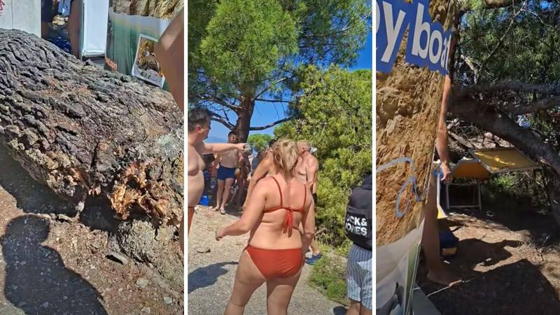 VIDEO DRAMA NA PLAŽI Bor se srušio na kupače u Crikvenici