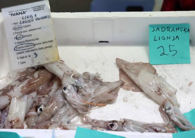 Šibenik: Ponuda ribe i ostalih morskih delicija