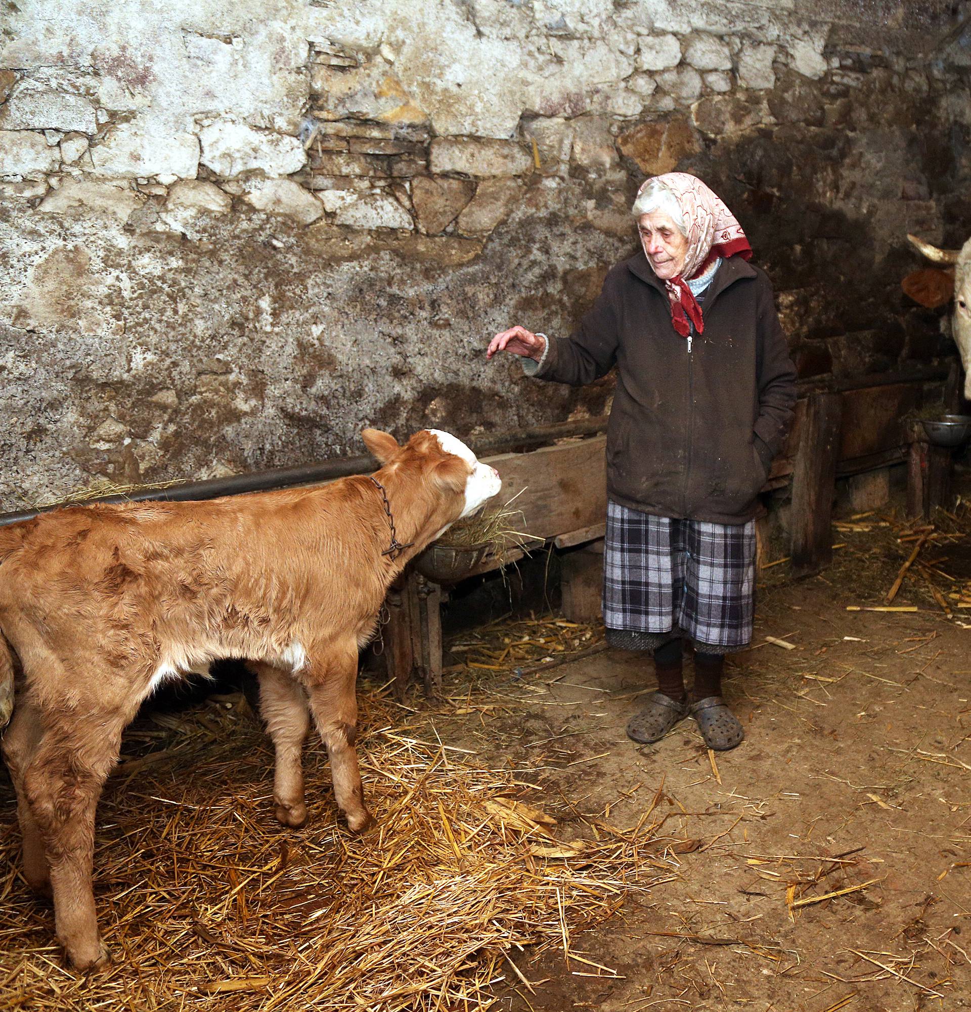 Baka (89) je pomogla Juri da dođe na svijet: 'Zribala sam ga'