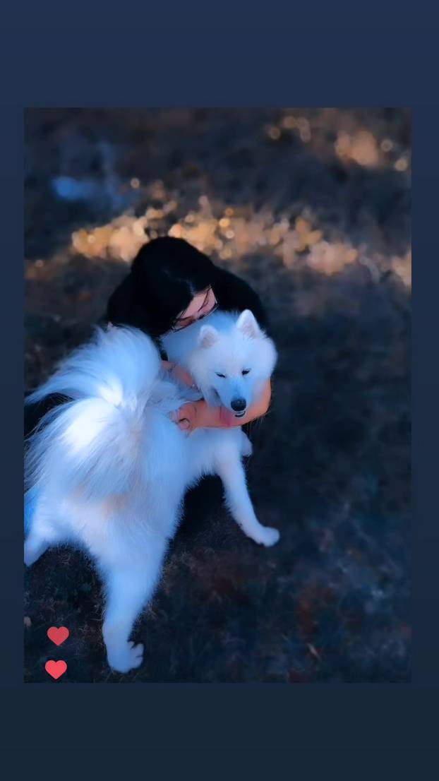 SUPER FOTKE vaših ljubimaca! Neki bi mogli biti viralni hit, ali svi su jednostavno neodoljivi