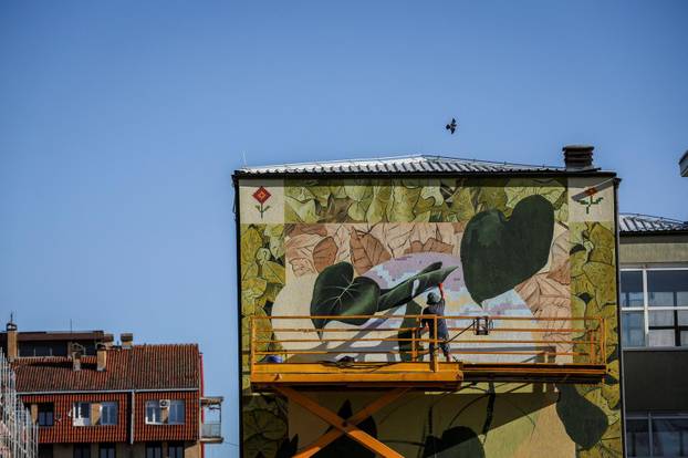 Mural festival, in Kosovo