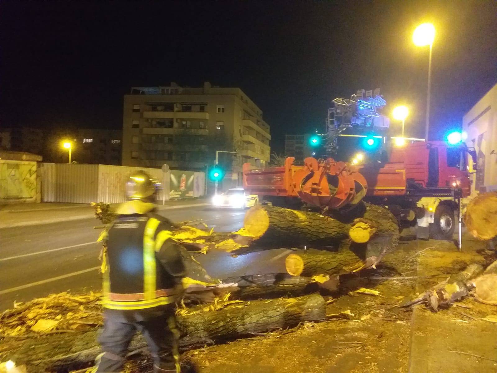 VIDEO Vjetar u Zagrebu srušio drvo od 30 metara u Selskoj! 'Vozili su po suprotnoj traci'