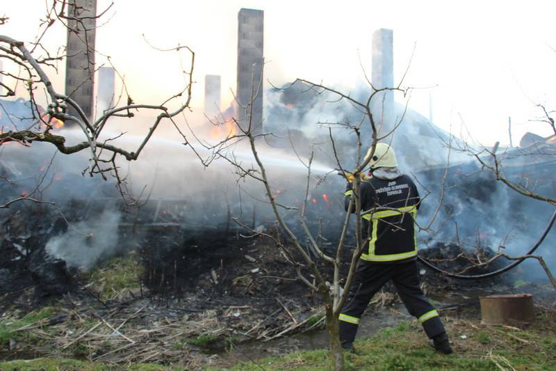 Staja izgorjela, krov se urušio: U zadnji tren spasili životinje