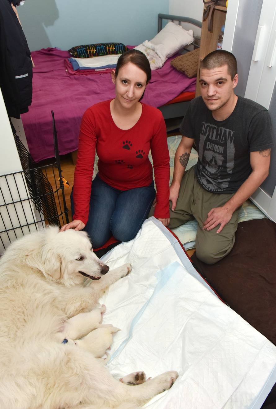 Odbacili skotnu kujicu: 'Lutala je, gladovala i smrzavala se...'