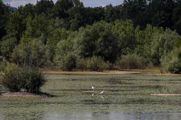 Zagreb: Uz ribolov, jezero Orešje idealno je za obiteljsku šetnju ili vožnju biciklima 