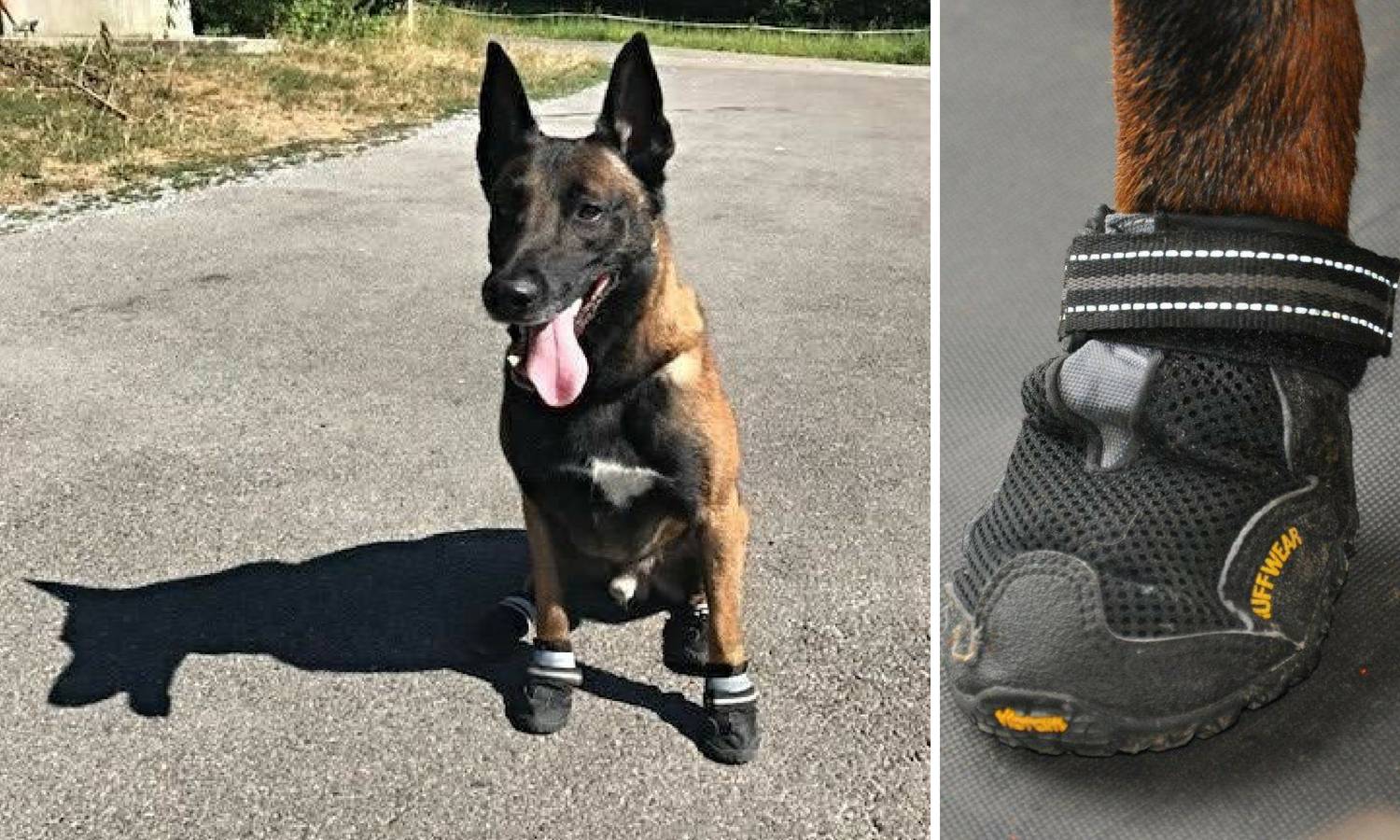 Svaka čast policiji: Psi imaju slatke cipelice protiv vrućine