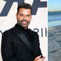 Ricky Martin optužen je za zlostavljanje u obitelji