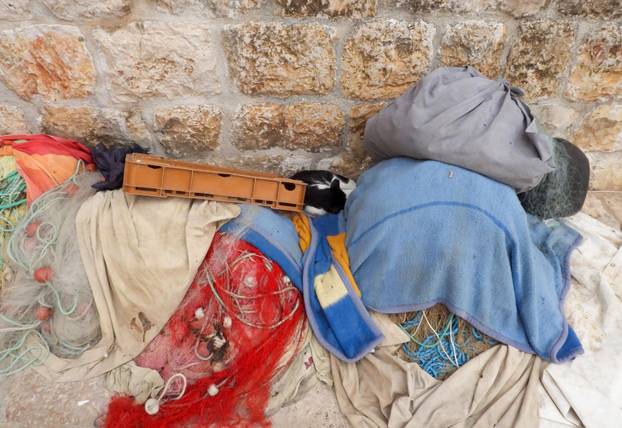 Dubrovnik ljeti, tisuće posjetitelja, ali i bogata ponuda za svakoga