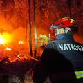 Simovi&cacute;: Puno bolje stanje na po&zcaron;ari&scaron;tu u Kuli Norinskoj, a jutros gase i dva kanadera