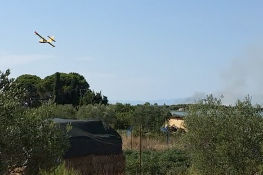 Požar kod Vranskog jezera