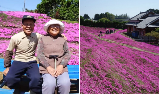 FOTO Pogledajte tu divotu: Farmer zasadio tisu&cacute;e cvjetova za svoju slijepu suprugu