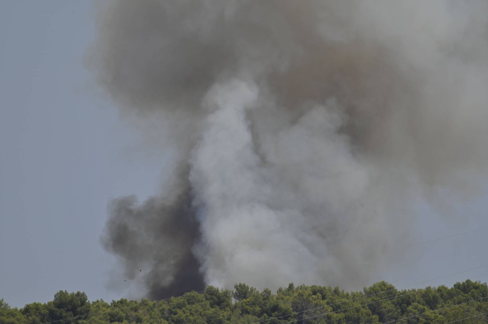 Veliki požar pored Pule zahvatio šumu, vatrogasci su na terenu