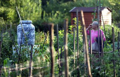 Dođite danas u Maksimir na otvorenje novog Urbanog vrta