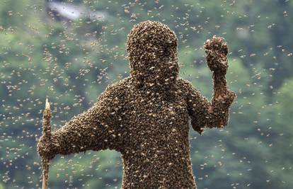 Pčelar u sat vremena na tijelo privukao 26,8 kilograma pčela