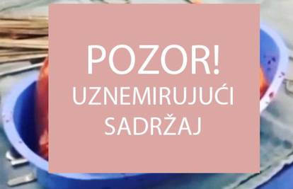 Izvađeno srce "na kokainu" je nastavilo kucati još 25 minuta